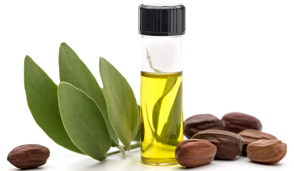 Có thể bạn chưa biết những tác dụng của tinh dầu Jojoba với làn da. Loại dược thảo cực kì tốt luôn có mặt trong hầu hết các sản phẩm của Mommycare